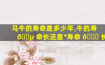马牛的寿命是多少年,牛的寿 🐵 命长还是*
寿命 🐛 长